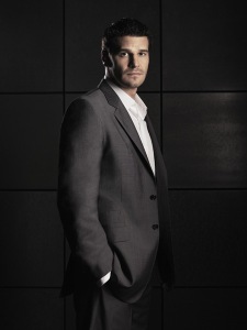 David Boreanaz as Special Agent Seeley Booth